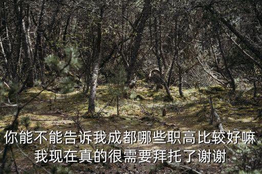 成都市西城職業(yè)高中，成都有哪些西點(diǎn)職業(yè)高中