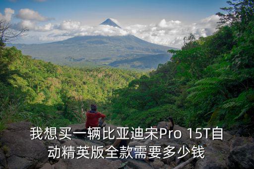 我想買(mǎi)一輛比亞迪宋Pro 15T自動(dòng)精英版全款需要多少錢(qián)
