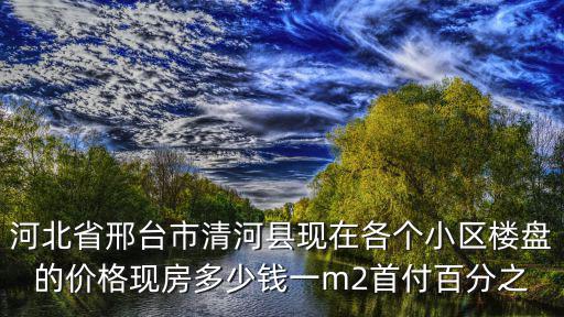 河北省邢臺市清河縣現在各個小區樓盤的價格現房多少錢一m2首付百分之