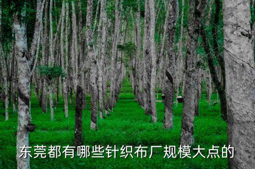 東莞都有哪些針織布廠規模大點的