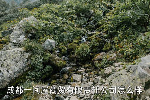 成都一間屋商貿有限責任公司怎么樣