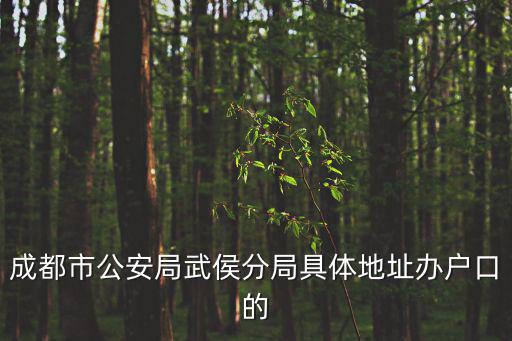 成都市公安局武侯分局具體地址辦戶(hù)口的