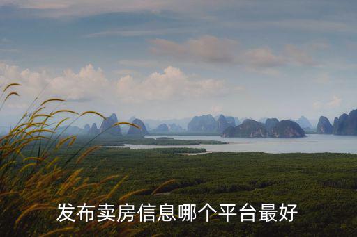 發(fā)布賣房信息哪個平臺最好