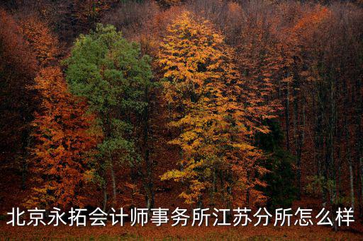 北京永拓會計師事務(wù)所江蘇分所怎么樣