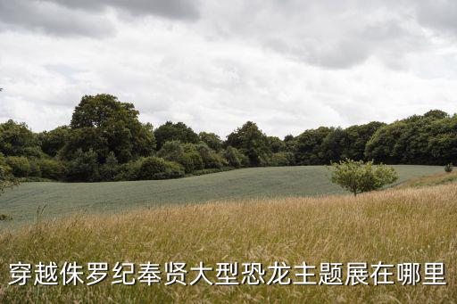上海市奉賢區金海公路改造，穿越侏羅紀奉賢大型恐龍主題展在哪里