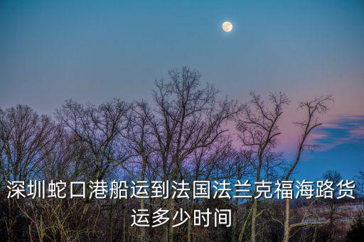 深圳蛇口港船運到法國法蘭克福海路貨運多少時間