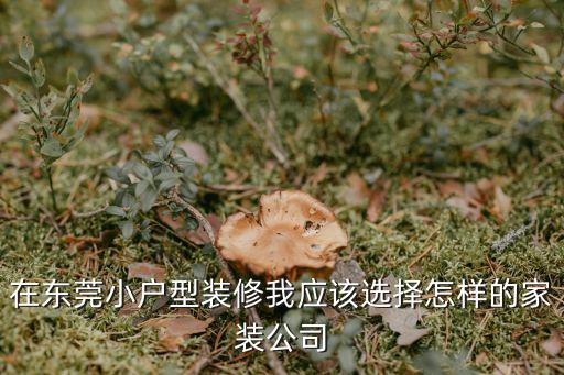 在東莞小戶型裝修我應(yīng)該選擇怎樣的家裝公司