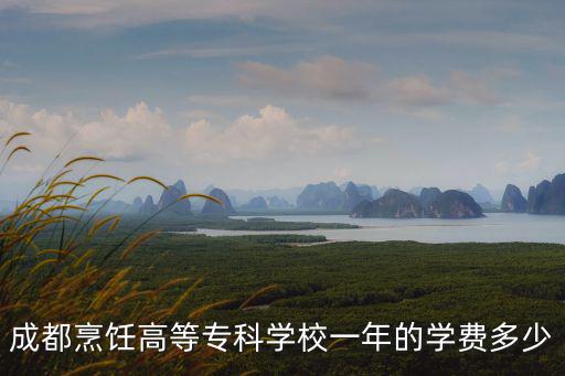 成都烹飪高等專科學校一年的學費多少