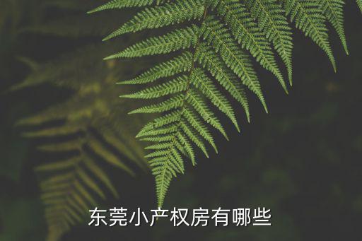 東莞小產(chǎn)權(quán)房有哪些