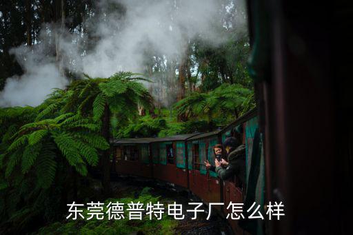 東莞德普特電子廠怎么樣