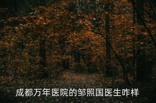成都萬年醫(yī)院的鄒照國醫(yī)生咋樣