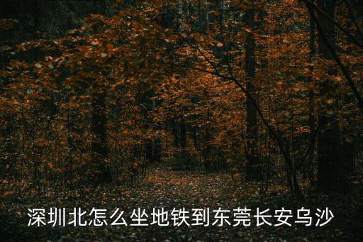 深圳北怎么坐地鐵到東莞長安烏沙