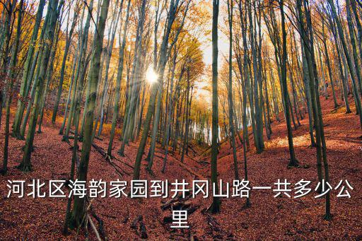 河北區(qū)海韻家園到井岡山路一共多少公里