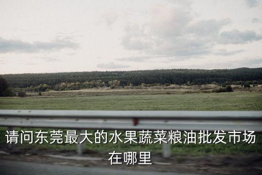 請問東莞最大的水果蔬菜糧油批發市場在哪里