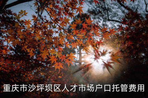 重慶市沙坪壩區人才市場戶口托管費用