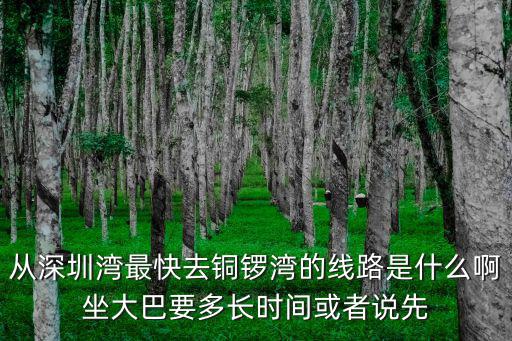 深圳灣b2p時間，深圳灣坐B2P在哪一站轉地鐵是終點站天水圍嗎