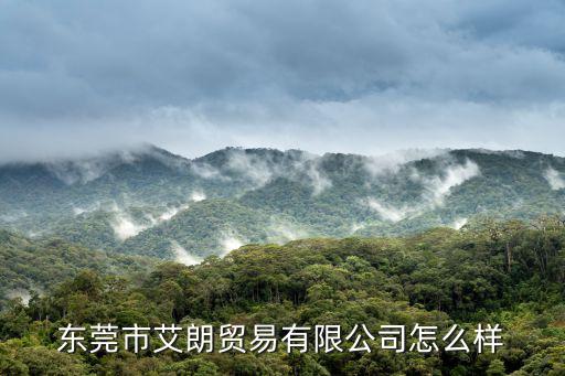 東莞市艾朗貿易有限公司怎么樣
