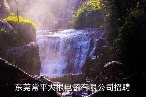 東莞常平大根電子有限公司招聘