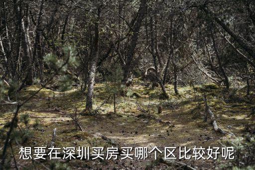 想要在深圳買房買哪個區比較好呢