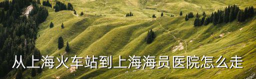 上海市周家嘴路505號(hào)，從上海火車站到上海海員醫(yī)院怎么走