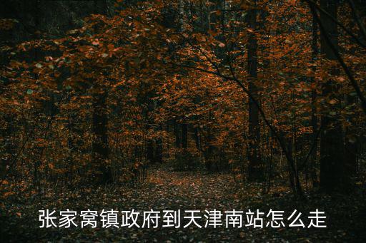 張家窩鎮政府到天津南站怎么走