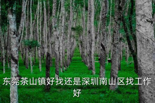 東莞茶山鎮(zhèn)好找還是深圳南山區(qū)找工作好