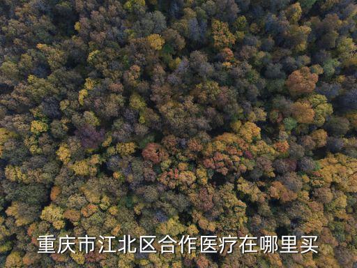 重慶市江北區(qū)合作醫(yī)療在哪里買