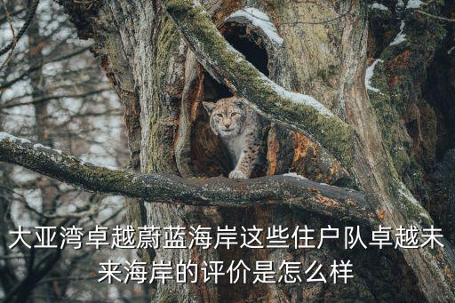 大亞灣卓越蔚藍海岸這些住戶隊卓越未來海岸的評價是怎么樣