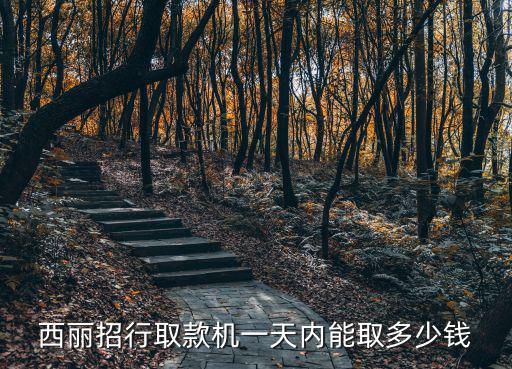 西麗招行取款機一天內(nèi)能取多少錢