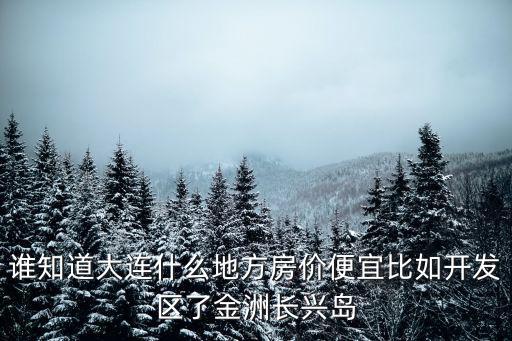 誰知道大連什么地方房價便宜比如開發區了金洲長興島