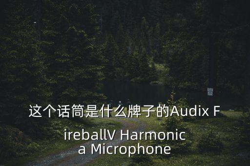 這個話筒是什么牌子的Audix FireballV Harmonica Microphone