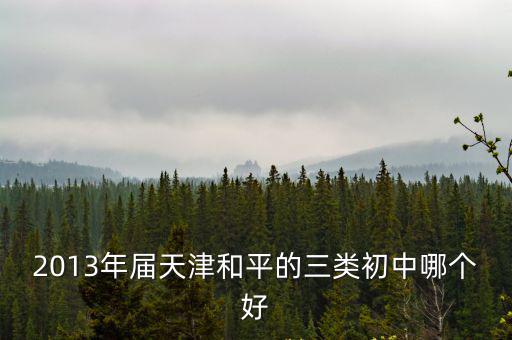 天津市和平區(qū)實驗中學怎么樣，天津市哪所高中比較好