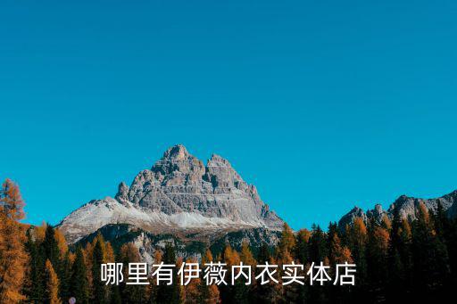哪里有伊薇內衣實體店