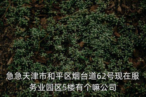 天津市大新騰達機電商貿有限公司，急急天津市和平區煙臺道62號現在服務業園區5樓有個嘛公司