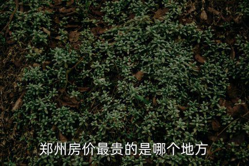 鄭州房價最高的是哪個區域，鄭州房價最貴的是哪個地方