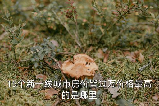 15個新一線城市房價皆過萬價格最高的是哪里