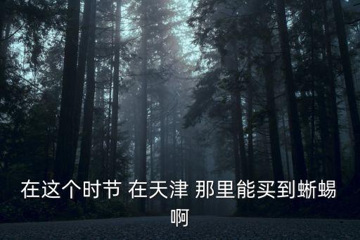在這個時節(jié) 在天津 那里能買到蜥蜴啊