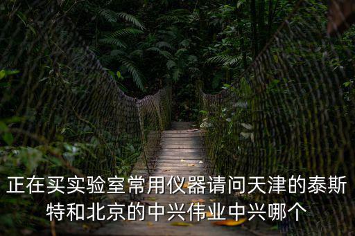 正在買實驗室常用儀器請問天津的泰斯特和北京的中興偉業中興哪個