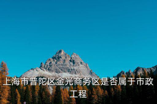 上海市普陀區(qū)市政工程招標(biāo)，普陀區(qū)招標(biāo)網(wǎng)如何可以尋找到