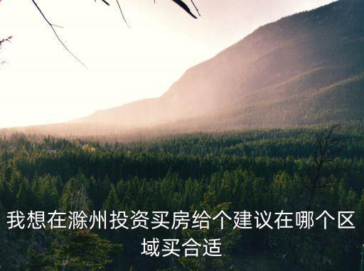 我想在滁州投資買房給個建議在哪個區(qū)域買合適