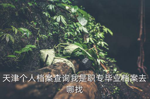 天津個人檔案查詢我是職專畢業檔案去哪找