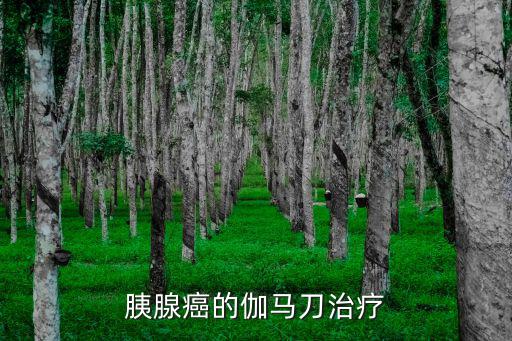 天津市一中心放療科主任，楊文杰是誰