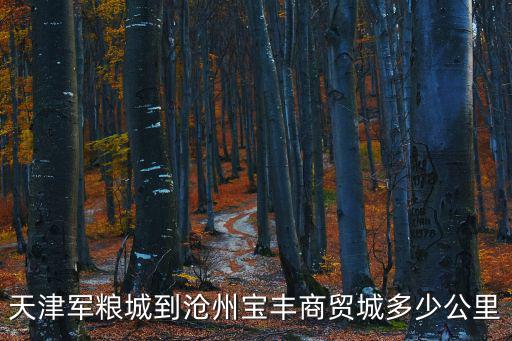 天津軍糧城到滄州寶豐商貿(mào)城多少公里
