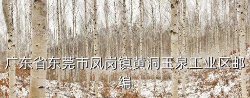 廣東省東莞市鳳崗鎮(zhèn)黃洞玉泉工業(yè)區(qū)郵編