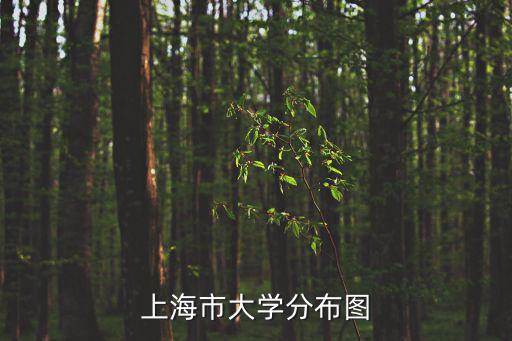 上海市大學分布圖