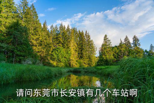 請(qǐng)問(wèn)東莞市長(zhǎng)安鎮(zhèn)有幾個(gè)車(chē)站啊
