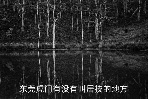 東莞虎門有沒有叫居技的地方
