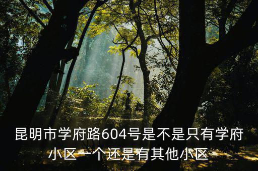 昆明市學府路604號是不是只有學府小區一個還是有其他小區