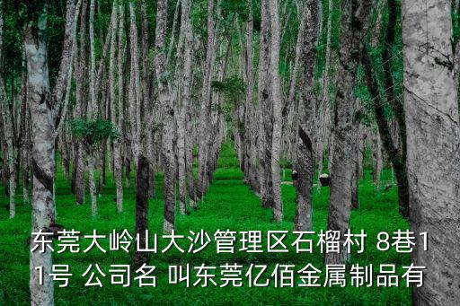 東莞大嶺山大沙管理區(qū)石榴村 8巷11號 公司名 叫東莞億佰金屬制品有