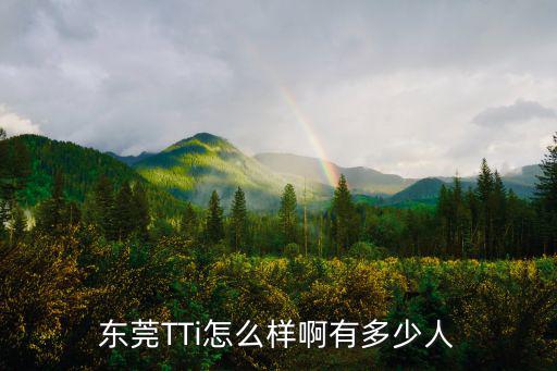 東莞TTi怎么樣啊有多少人